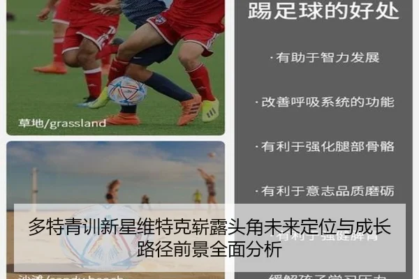 多特青训新星维特克崭露头角未来定位与成长路径前景全面分析
