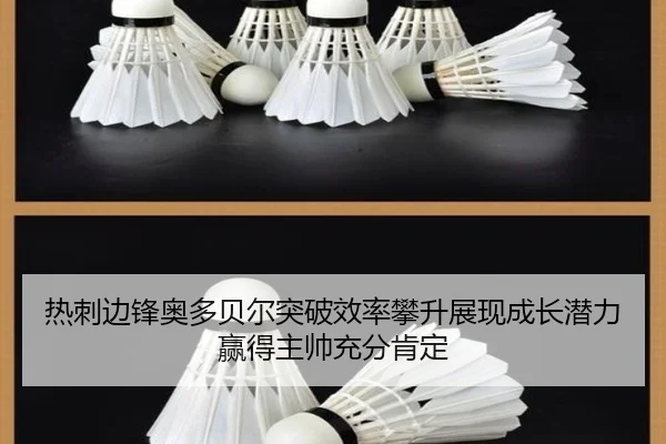 热刺边锋奥多贝尔突破效率攀升展现成长潜力赢得主帅充分肯定